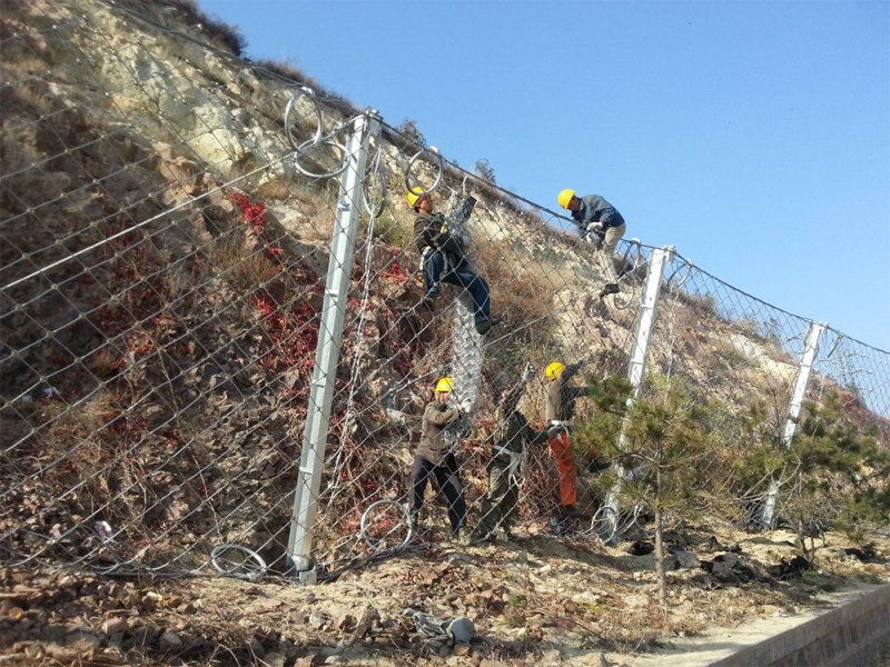 被動防護(hù)網(wǎng)